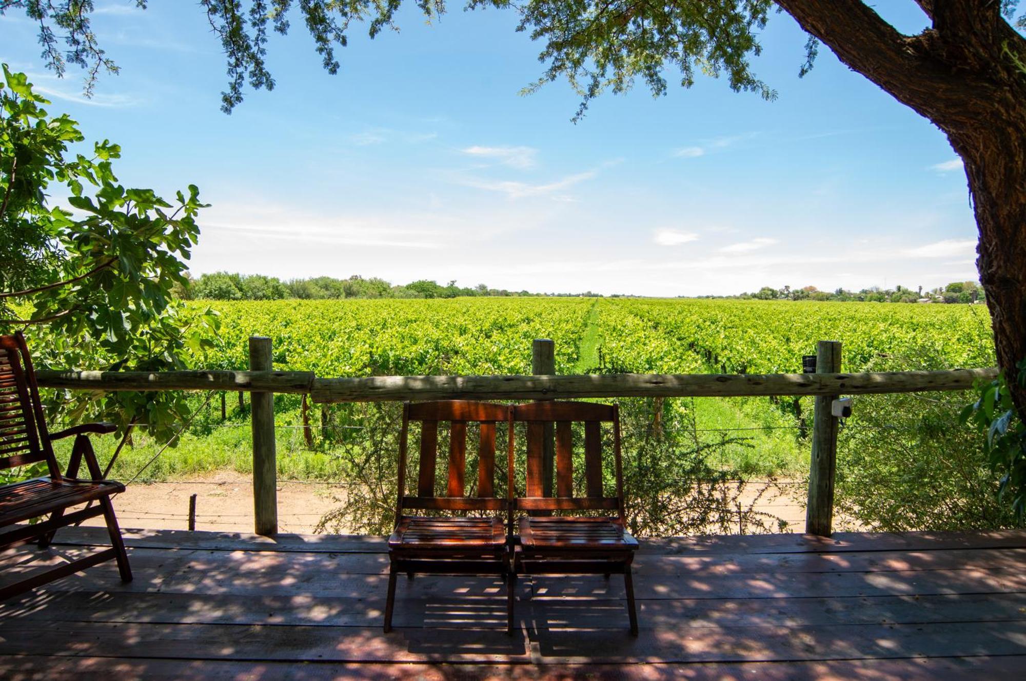 Upington African Vineyard Boutique Hotel & Spa Keimoes Exterior photo